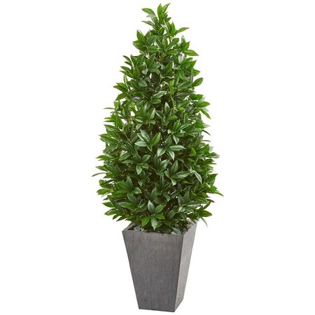 NEARLY NATURALS 57 in. Bay Leaf Cone Topiary Tree in Slate Planter 9369